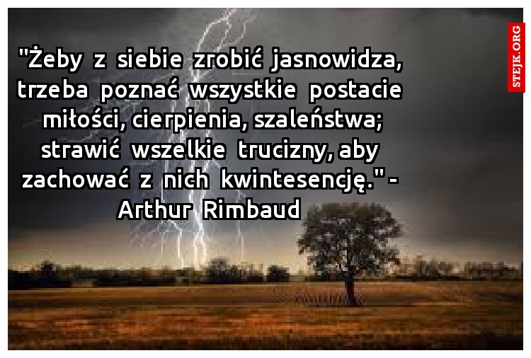 "Żeby  z  siebie  zrobić  jasnowidza, trzeba  poznać  wszystkie  postacie  miłości, cierpienia, szaleństwa; strawić  wszelkie  trucizny, aby zachować  z  nich  kwintesencję." - Arthur  Rimbaud