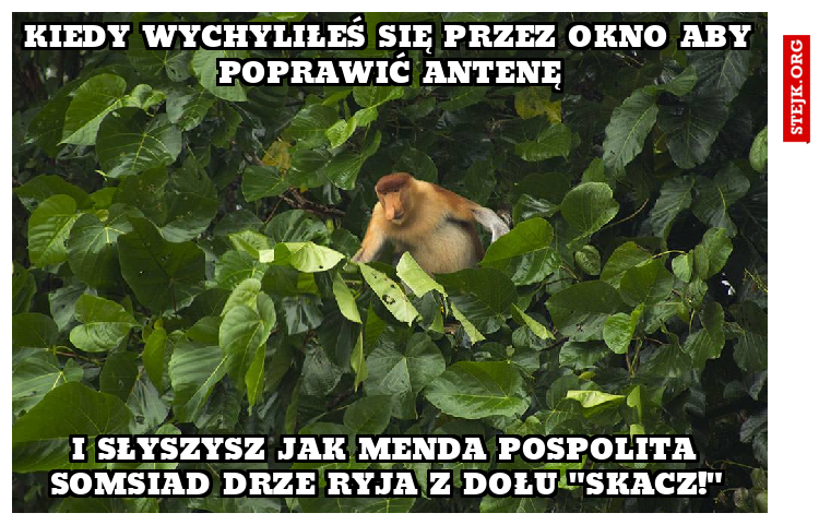 kiedy wychyliłeś się przez okno aby poprawić antenę