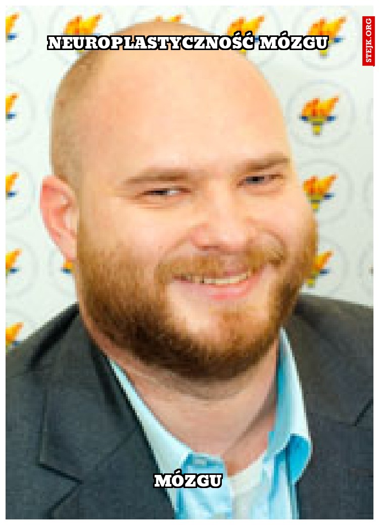 NEUROPLASTYCZNOŚĆ MÓZGU