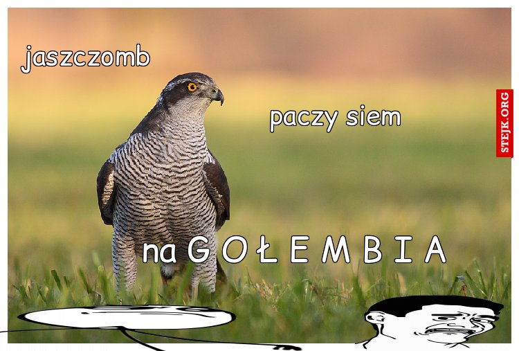 jaszczomb XDDDDDDDDDDDDDDDDDDDDDDDDDDDDDDDDDDDDDDDDDDDDDDDDDDDDDDDDDDDDDDDDDDDDDDDDDDDDDDDDDDDDDDDDDDDDDDDDDDDDDDDDDDDDDDDDDDDDDDDDDDDDDDDDDDDDDDDDDDDDDDDDDDDDDDDDDDDDDDDDDDDDDDDDDDDDDDDDDDDDDDDDDDDDDDDDDDDDDDDDDDDDDDDDDDDDDDDDDDDDDDDDDDDDDDDDDDDDDDDDDDDDDDDDDDDDDDDD