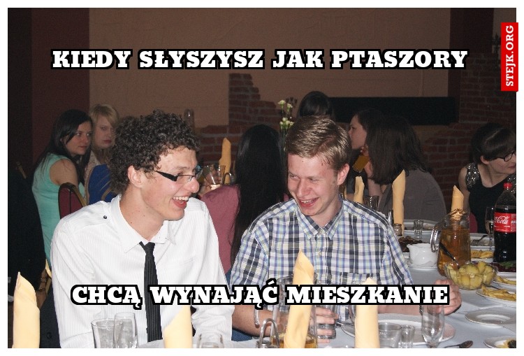 kiedy słyszysz jak ptaszory