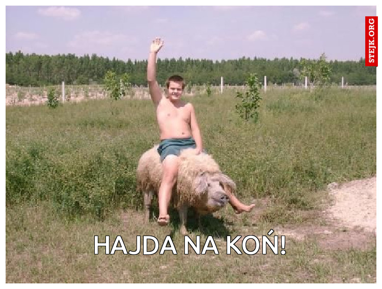 Hajda na koń!