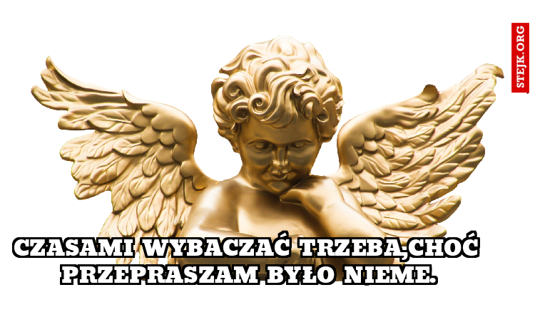 Czasami wybaczać trzeba,choć przepraszam było nieme.
