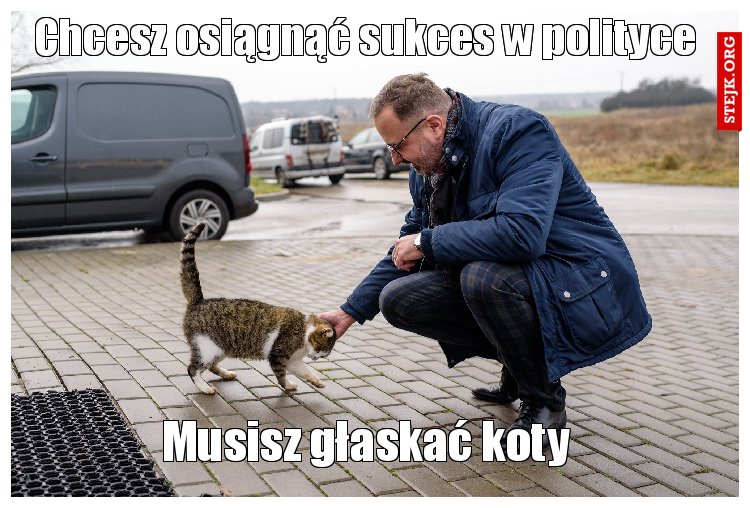 Chcesz osiągnąć sukces w polityce