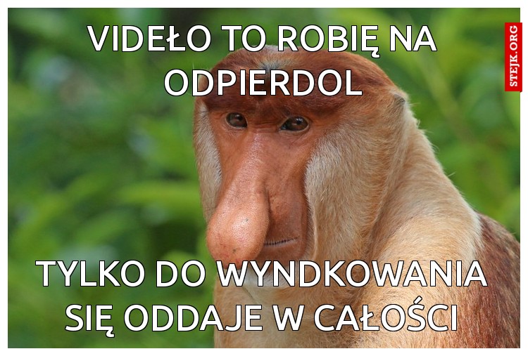 Oddaj mnie Canona za pół ceny