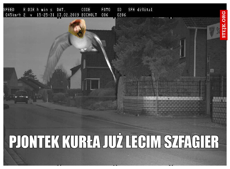 Pjontek KurŁa już lecim szfagier