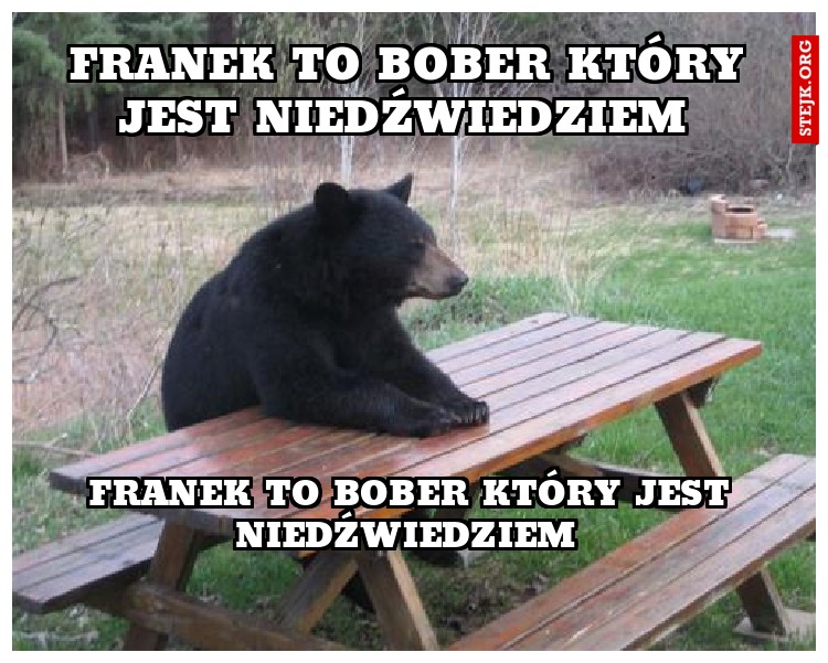 Franek to bober który jest niedźwiedziem 