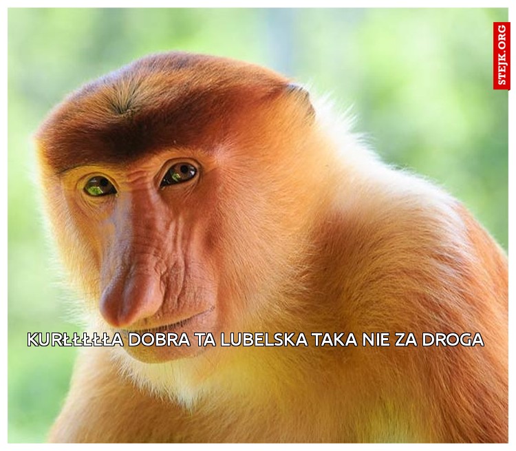 kurłłłłła dobra ta Lubelska taka nie za droga