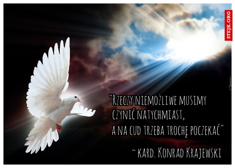"Rzeczy niemożliwe musimy 
