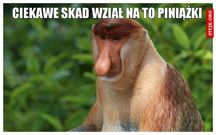 ciekawe skad wział na to piniążki