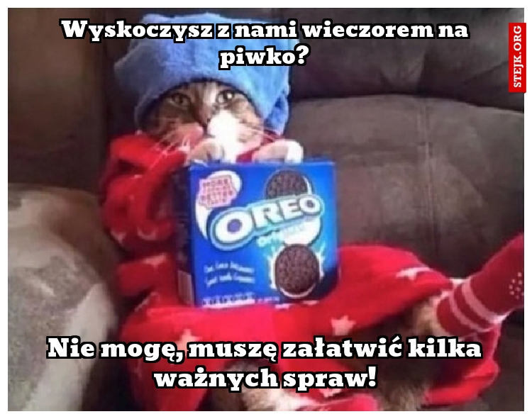 Wyskoczysz z nami wieczorem na piwko?