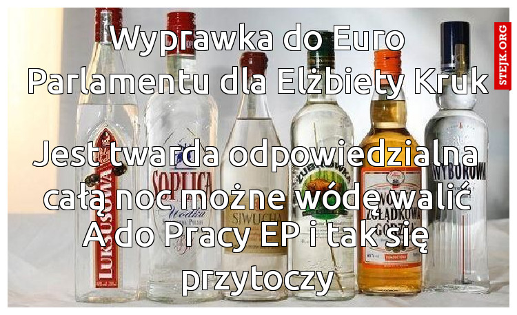 Wyprawka do Euro Parlamentu dla Elżbiety Kruk