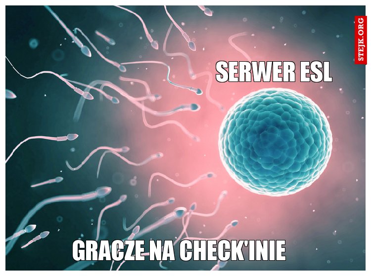 gracze na check'inie