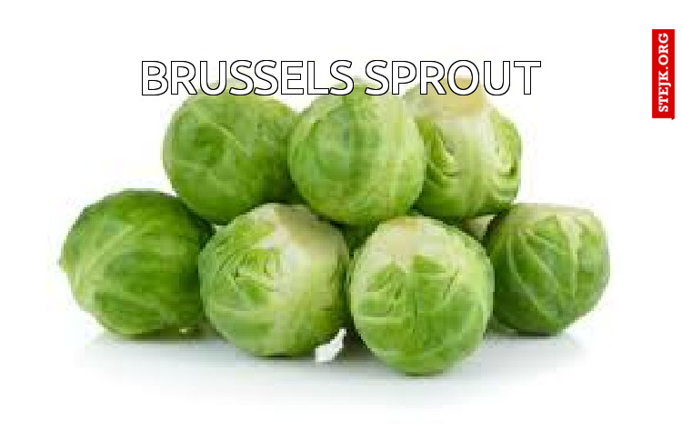 brussels sprout