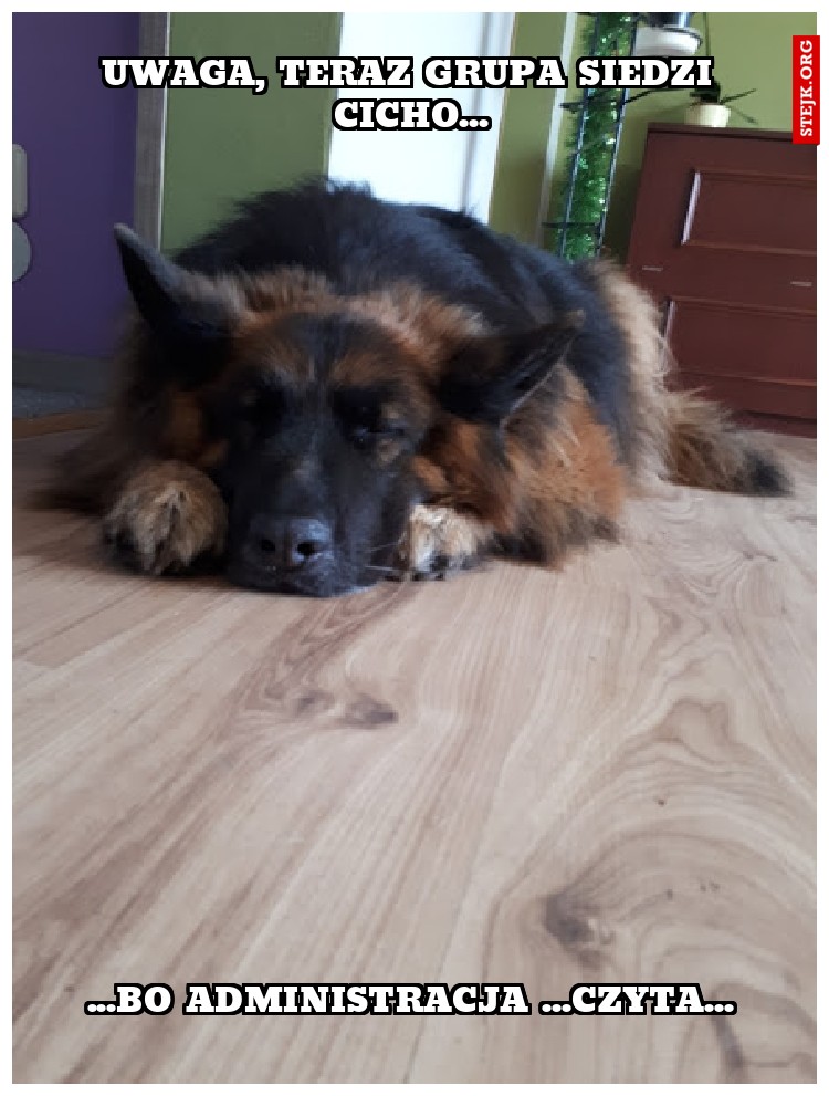 uwaga, teraz grupa siedzi cicho...
