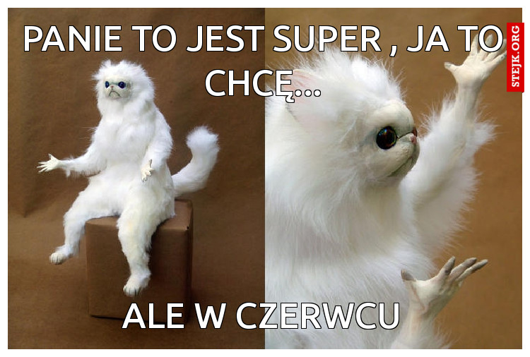 Panie to jest super , ja to chcę...