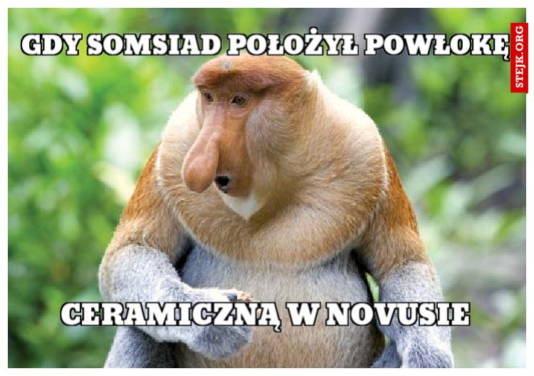 GDY SOMSIAD POŁOŻYŁ POWŁOKĘ