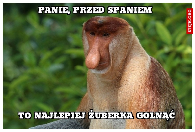 PANIE, PRZED SPANIEM 
