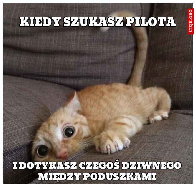 Kiedy szukasz pilota