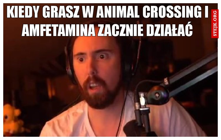 Kiedy grasz w animal crossing i amfetamina zacznie działać