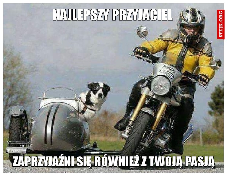 Najlepszy przyjaciel