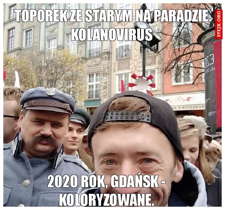 TOPOREK ZE STARYM NA PARADZIE KOLANOVIRUS
