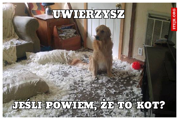 Uwierzysz