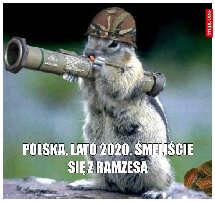 Polska, Lato 2020. Śmeliście się z Ramzesa