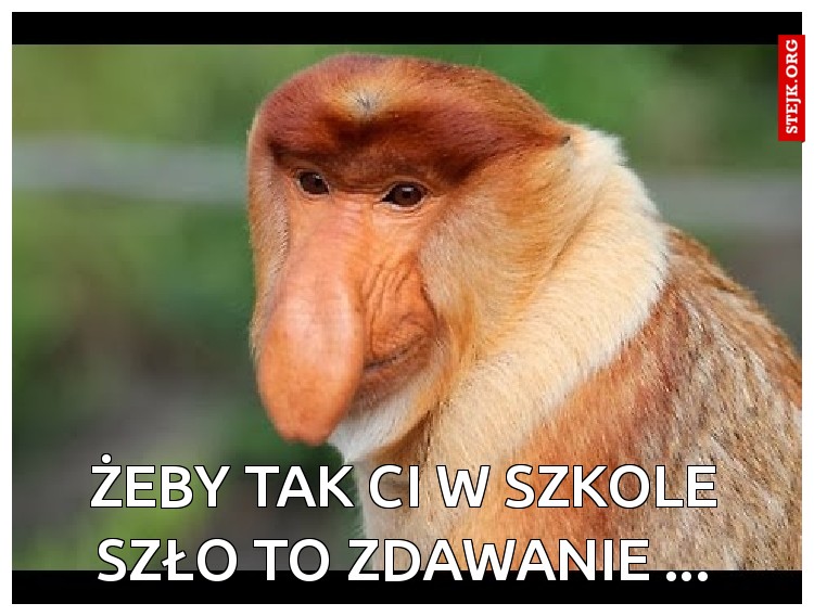 Żeby tak Ci w szkole szło to zdawanie ...