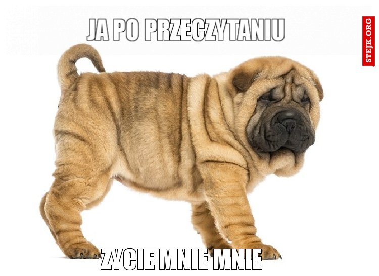 JA PO PRZECZYTANIU 