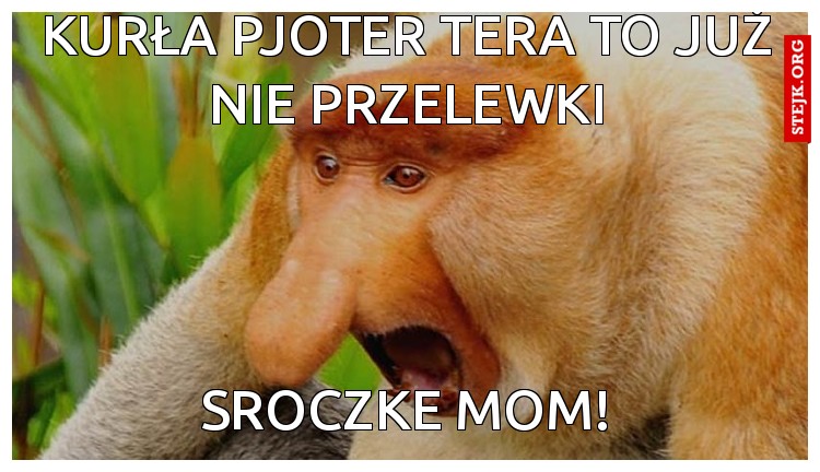 KURŁA PJOTER TERA TO JUŻ NIE PRZELEWKI
