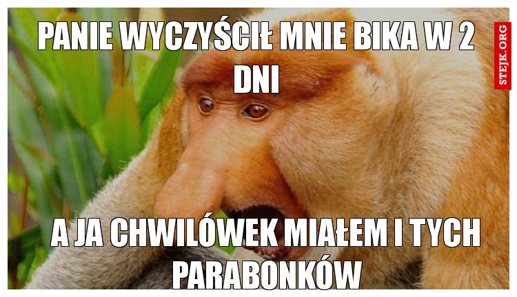 PANIE WYCZYŚCIŁ MNIE BIKA W 2 DNI