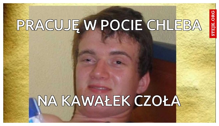 pracuję w pocie chleba