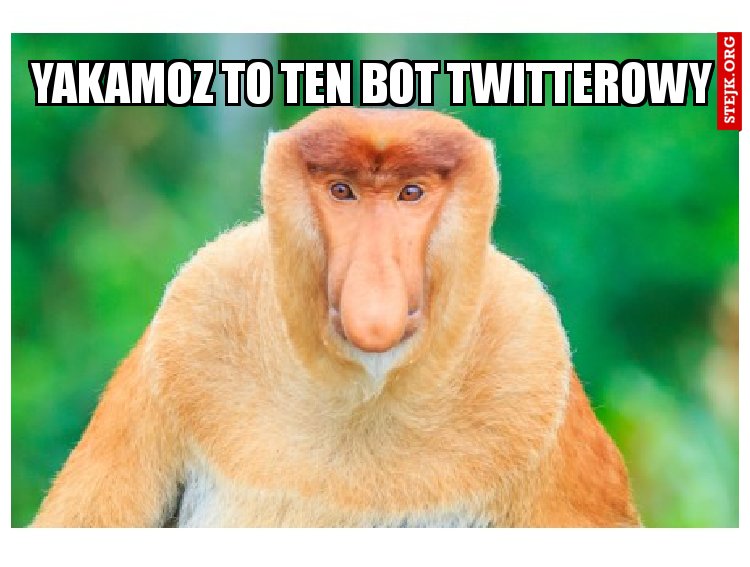 Yakamoz to ten bot twitterowy