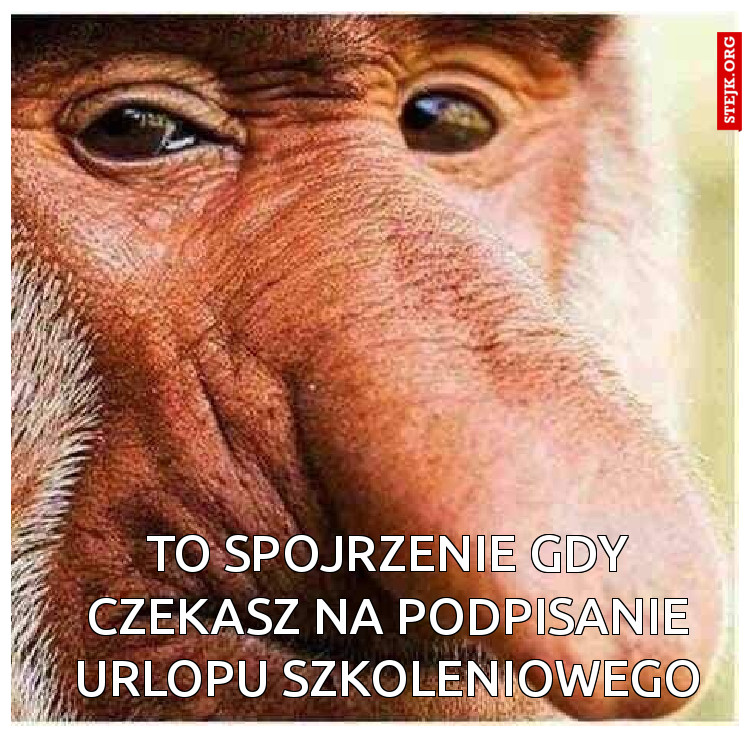 To spojrzenie gdy czekasz na podpisanie urlopu szkoleniowego
