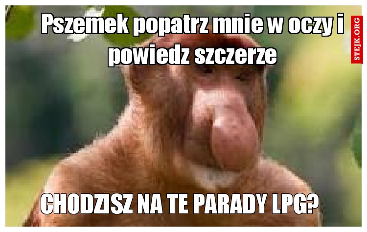 Pszemek popatrz mnie w oczy i powiedz szczerze