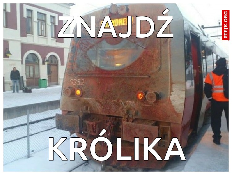 Znajdź