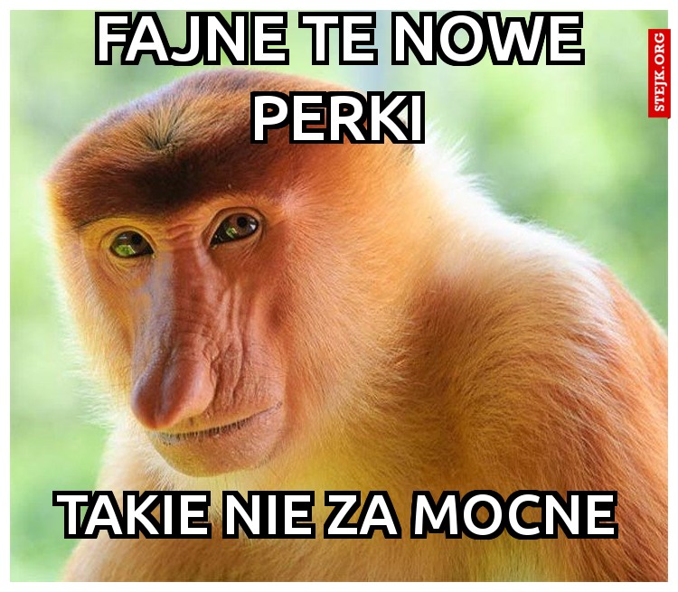 Fajne te nowe perki