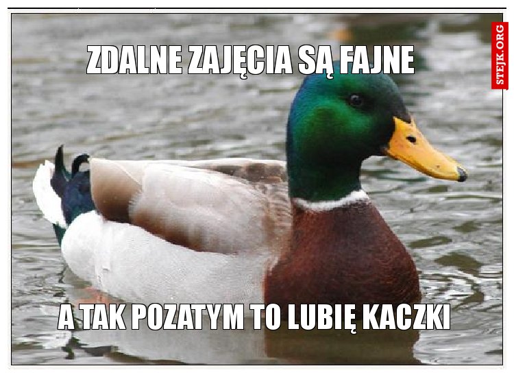 zdalne zajęcia są fajne 