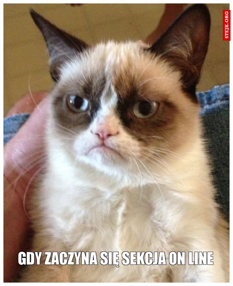 Gdy zaczyna się sekcja on line