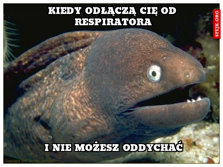 Kiedy odłączą cię od respiratora