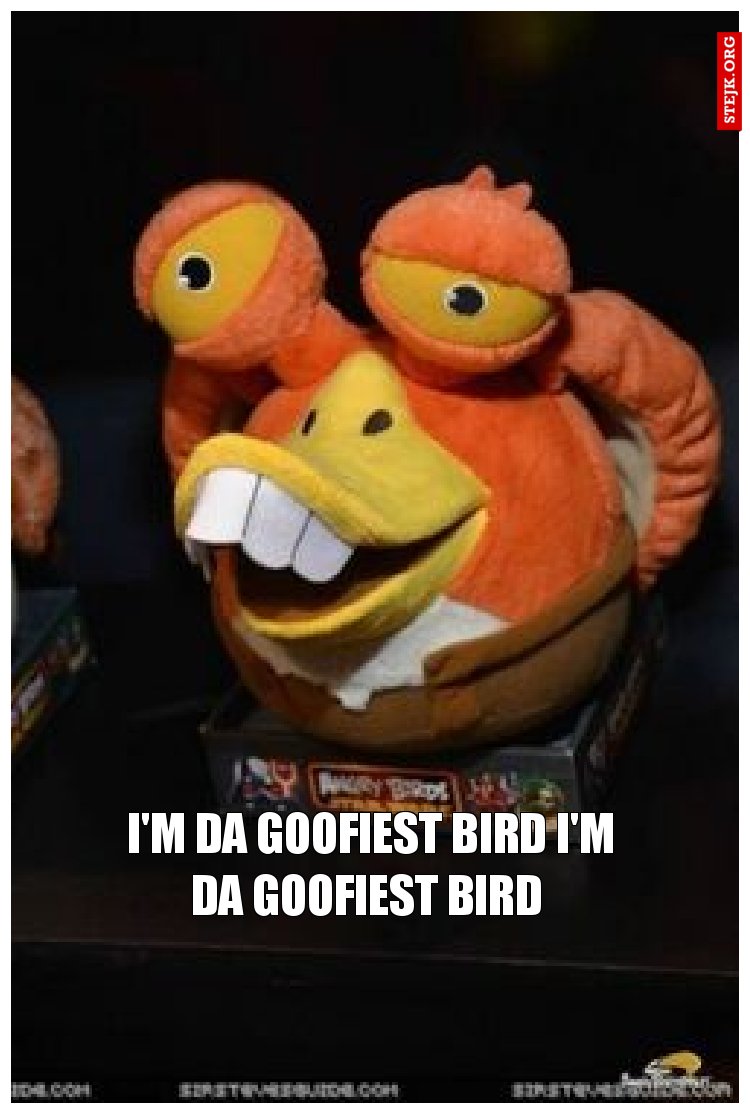 I'm da goofiest bird I'm da goofiest bird 