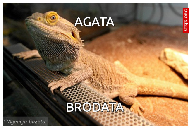 Agata