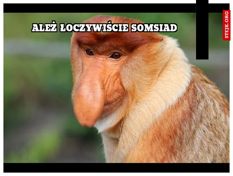 Somsiad muge pożyczyć radijo do auta?