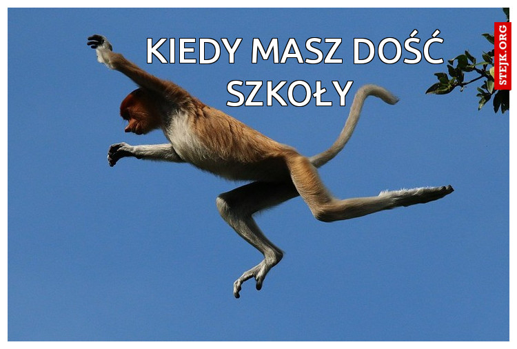 kiedy masz dość szkoły 