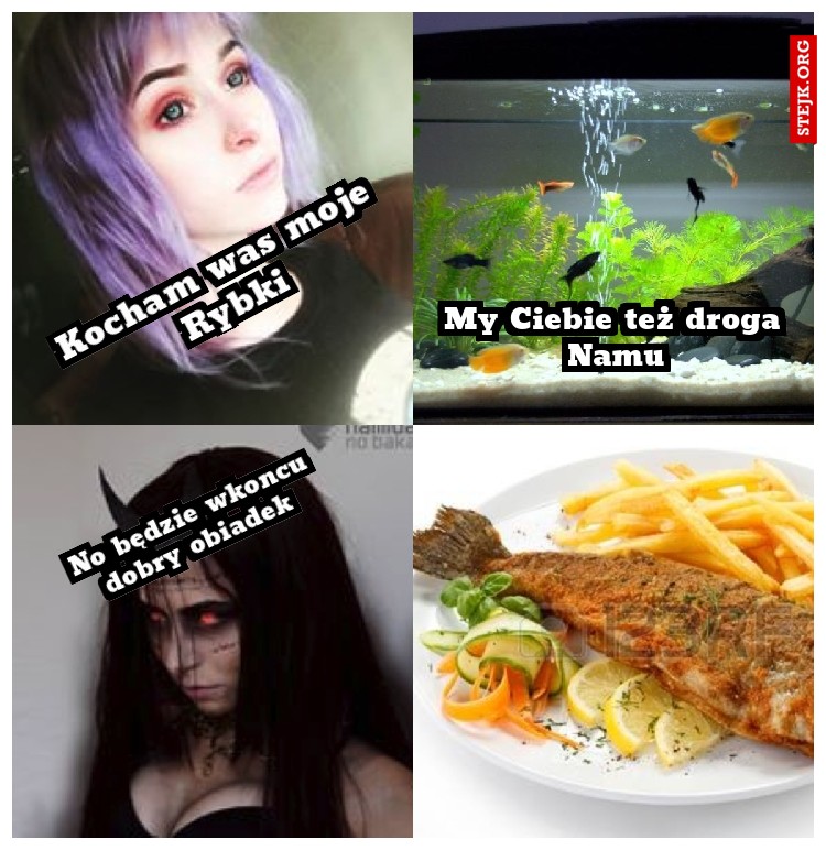 Kocham was moje Rybki
