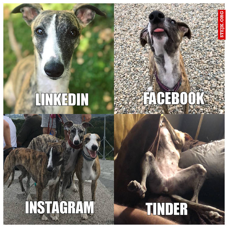 Linkedin