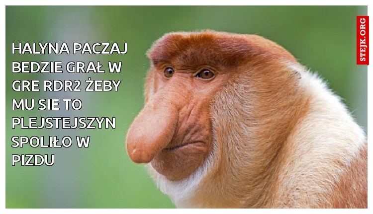 Halyna paczaj bedzie grał w gre RDR2 żeby mu sie to plejstejszyn spoliło w pizdu