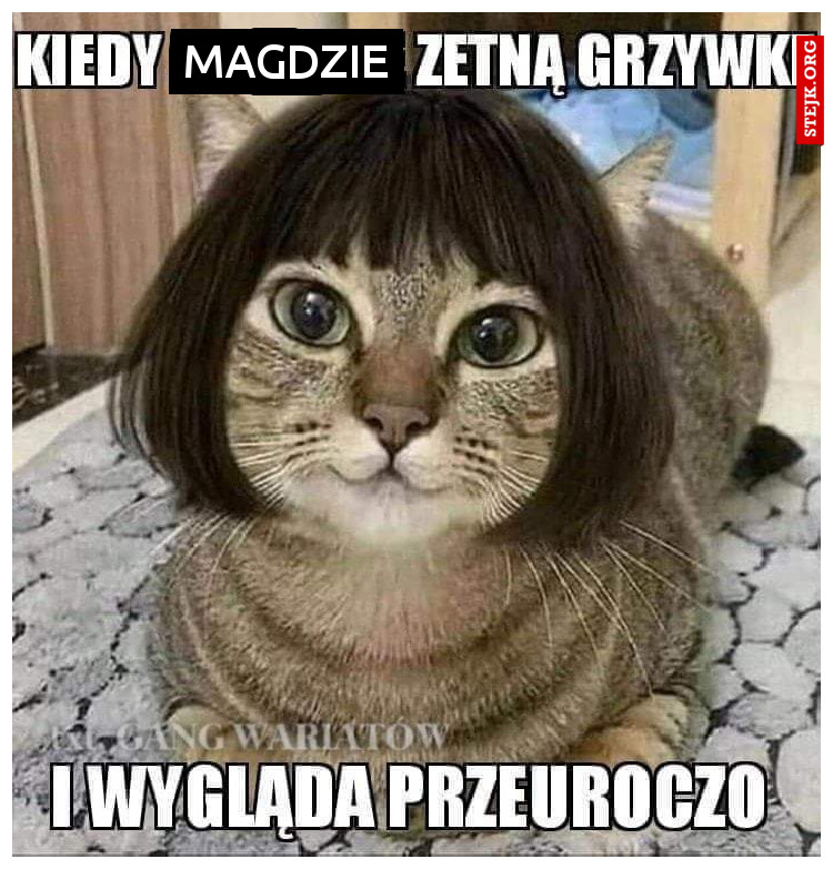 Kiedy Magdzie 