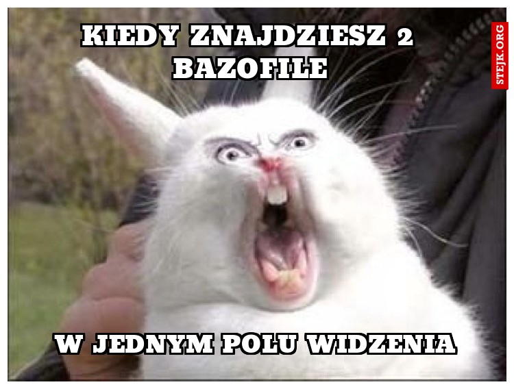 KIEDY ZNAJDZIESZ 2 BAZOFILE